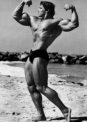 Arnold Schwarzenegger Classic Beach Bodybuilding Pose Black and White HD phone wallpaper