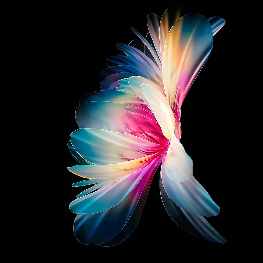 Abstract Iridescent Flower with Blue and Pink Petals on Black Background HD phone wallpaper