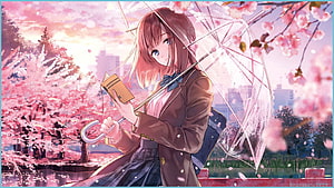 Anime Girl With Clear Umbrella Under Pink Cherry Blossoms HD wallpaper