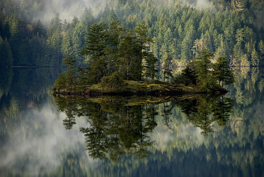 Misty Forest Island with Perfect Lake Reflection in a Serene Natural Landscape HD wallpaper