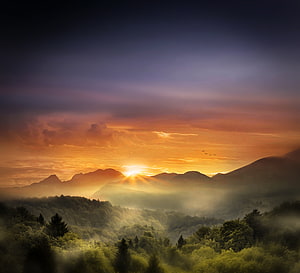 Golden Sunrise Over Misty Mountain Ranges and Lush Forest Valleys HD wallpaper