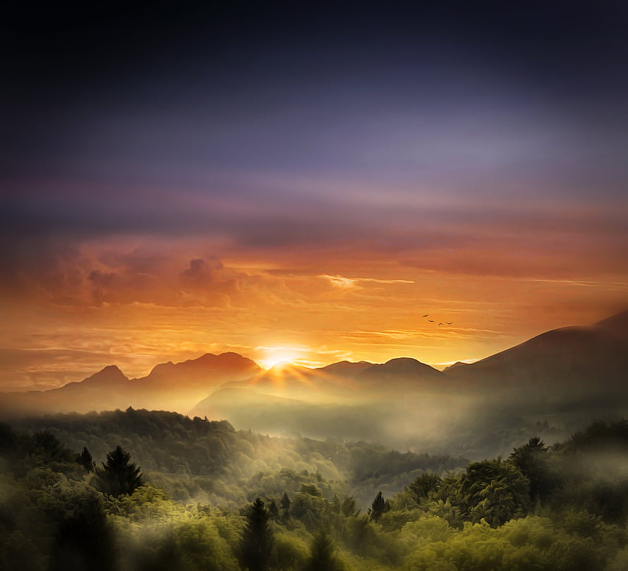 Golden Sunrise Over Misty Mountain Ranges and Lush Forest Valleys HD wallpaper