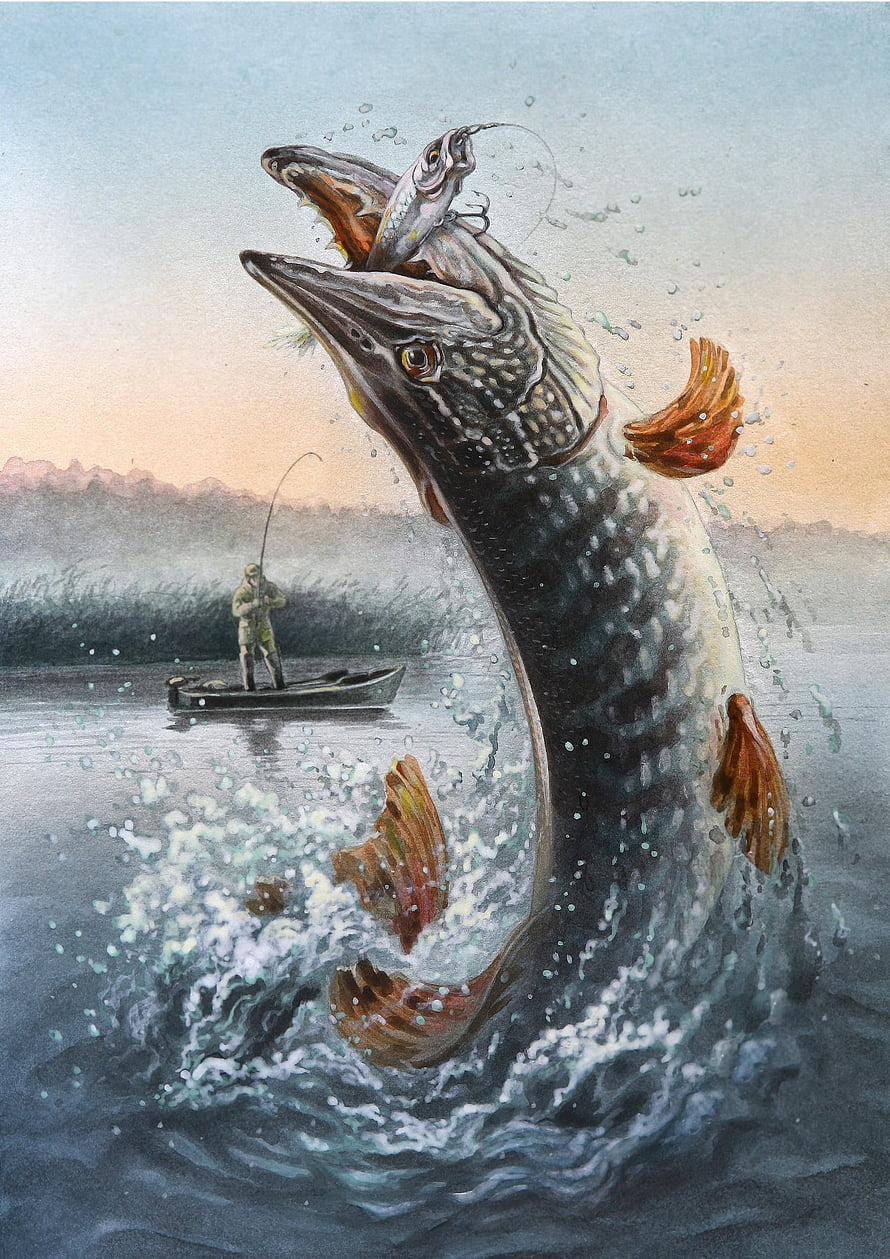 Dramatic Northern Pike Leaping from Water with Angler in Canoe at Dawn HD phone wallpaper