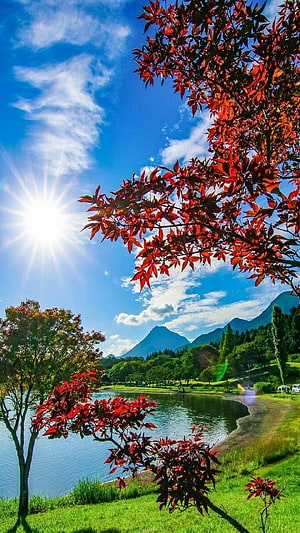 Vibrant Red Maple Branches Framing a Serene Lake and Mountain Landscape Under a Bright Blue Sky HD phone wallpaper