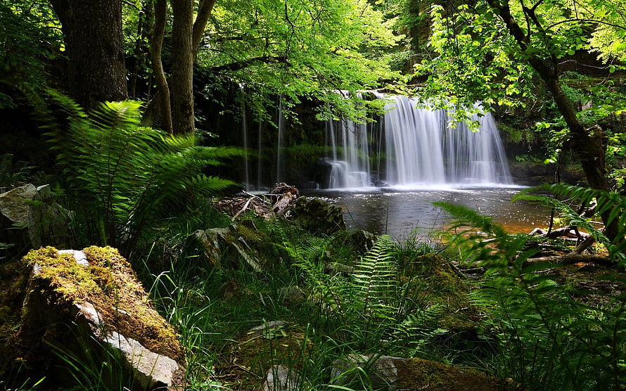 Serene Forest Waterfall Cascading Into a Mossy Pool Surrounded by Lush Ferns and Green Foliage HD wallpaper
