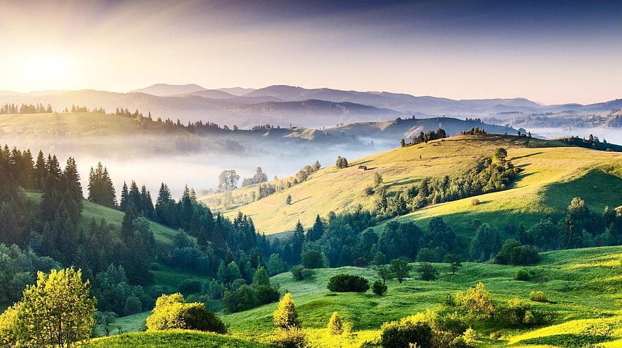 Misty Mountain Valley Landscape With Rolling Green Hills And Pine Forests At Sunrise HD wallpaper