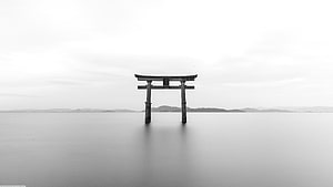 Serene Black And White Photograph Of A Traditional Japanese Torii Gate Standing In Calm Water HD wallpaper