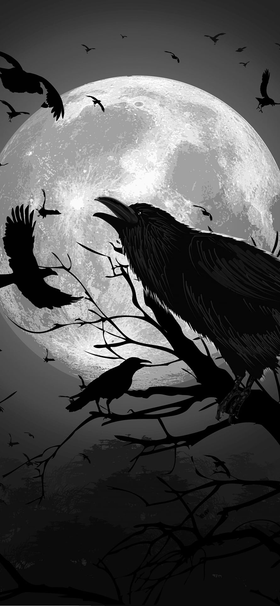 Black Raven Silhouette Perched on Branch Against Full Moon with Flying Birds HD phone wallpaper