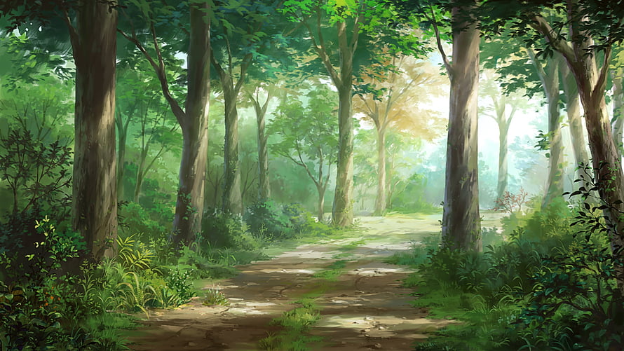 Sunlit Forest Path in Summer with Tall Trees and Lush Green Foliage HD wallpaper