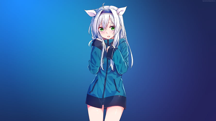 Anime Girl With White Hair And Cat Ears Wearing Blue Jacket HD wallpaper