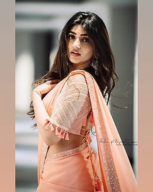 Woman in Peach Saree with Sequin Blouse and Tassel Details, Sreeleela, lip, joint HD phone wallpaper
