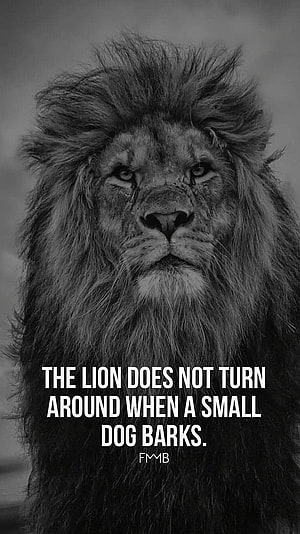 Black and white portrait of a majestic lion with a motivational quote about strength and ignoring negativity HD phone wallpaper