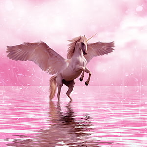 Majestic Winged Unicorn Galloping Across a Dreamy Pink Water Surface HD phone wallpaper