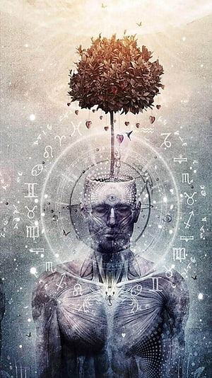 Surreal Spiritual Human Figure with Tree Growing from Head and Zodiac Symbols, Spiritual - & Background, Cool Spiritual HD phone wallpaper