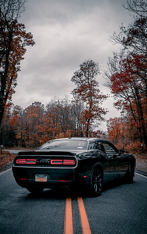 Black Dodge Challenger on a Winding Road Surrounded by Autumn Foliage HD phone wallpaper