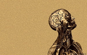 Anatomical Human Head and Neck Illustration in Sepia Tinted Engraving Style, Medical, Medical Laptop HD wallpaper