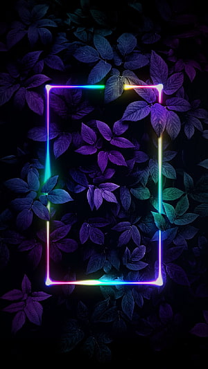Neon Rainbow Rectangle Frame Over Dark Purple Leaves Background HD phone wallpaper