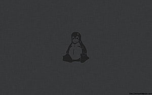 Dark Linux Mint Penguin Logo on Textured Charcoal Background HD wallpaper