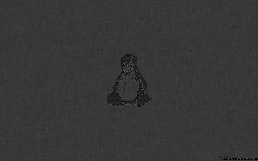 Dark Linux Mint Penguin Logo on Textured Charcoal Background HD wallpaper
