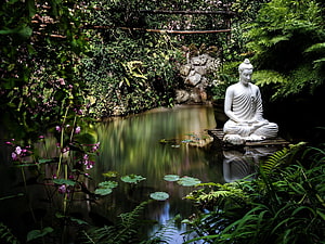 White Buddha statue meditating beside a tranquil garden pond with lotus leaves and lush greenery HD wallpaper