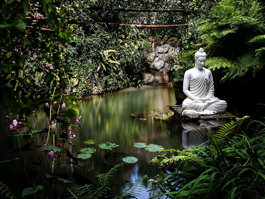 White Buddha statue meditating beside a tranquil garden pond with lotus leaves and lush greenery HD wallpaper