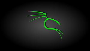 Minimalist Green Dragon Silhouette on Dark Background HD wallpaper