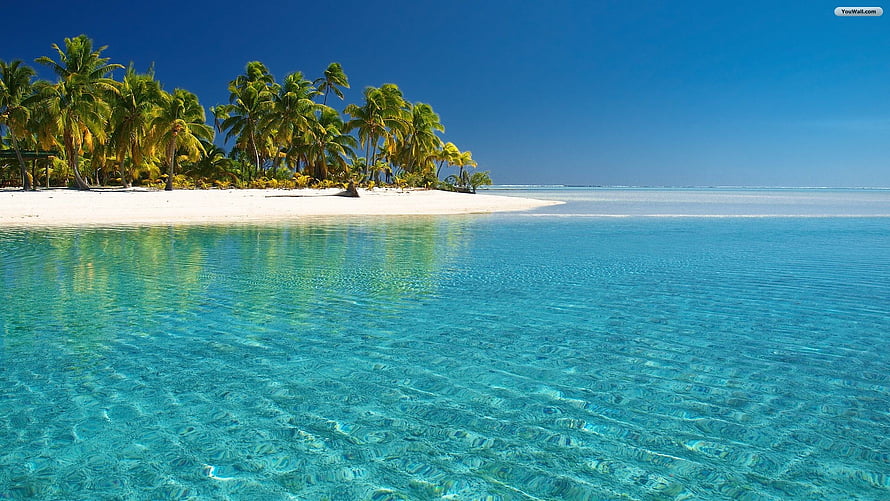 Tropical Paradise Beach with Crystal Clear Turquoise Water and Palm Trees HD wallpaper