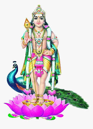 Lord Murugan Standing on Lotus with Peacock and Vel in Traditional Indian Art HD phone wallpaper
