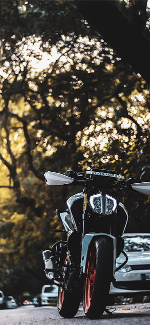 KTM Duke 390 Motorcycle Parked on a Forest Road with Golden Bokeh Light HD phone wallpaper