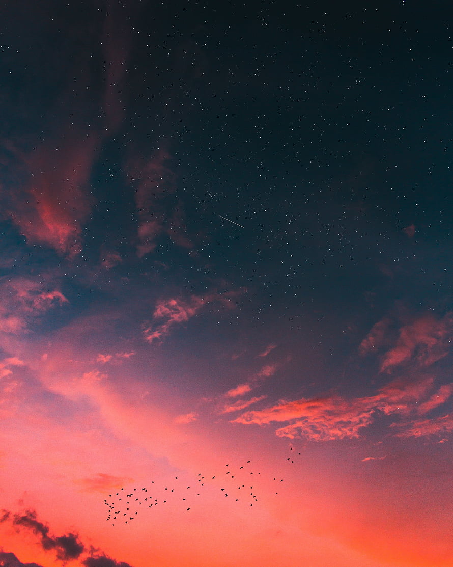 Flock of Birds Flying Against a Vibrant Pink and Orange Sunset Sky with Stars HD phone wallpaper