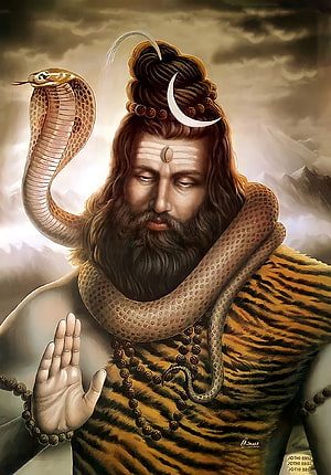Lord Shiva Digital Art Portrait with Cobra and Tiger Skin HD phone wallpaper