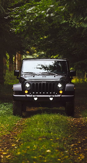 Black Jeep Wrangler Front View on a Forest Trail with Lush Green Foliage HD phone wallpaper