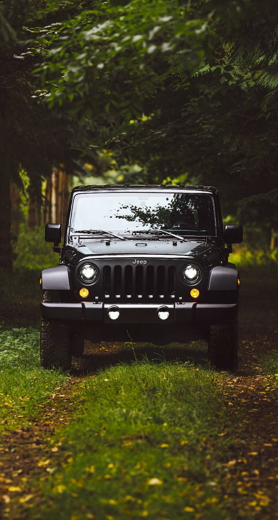 Black Jeep Wrangler Front View on a Forest Trail with Lush Green Foliage HD phone wallpaper
