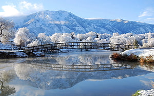 Vibrant Green Landscape with Distant Mountain Range Under a Clear Blue Sky HD wallpaper