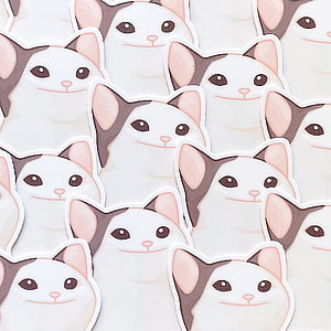 Cute Popcat Sticker Pattern with White and Grey Cat Faces HD phone wallpaper