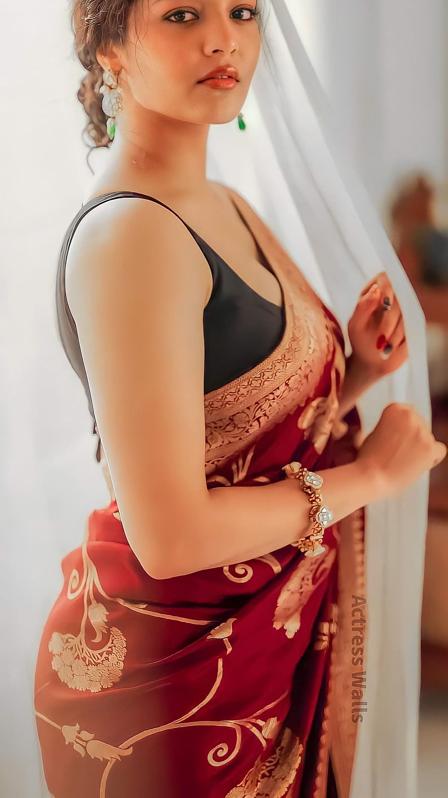 Elegant Portrait of a Woman in a Red and Gold Silk Saree with Intricate Patterns, Rithika singh, saree beauty HD phone wallpaper