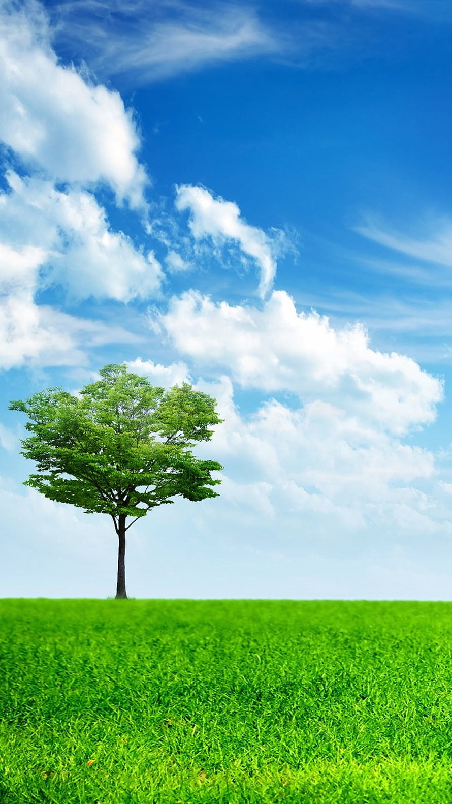 Lone Tree Standing in a Vibrant Green Meadow Under a Bright Blue Sky HD phone wallpaper