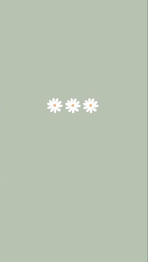Minimalist Sage Green Wallpaper With Three White Daisies HD phone wallpaper