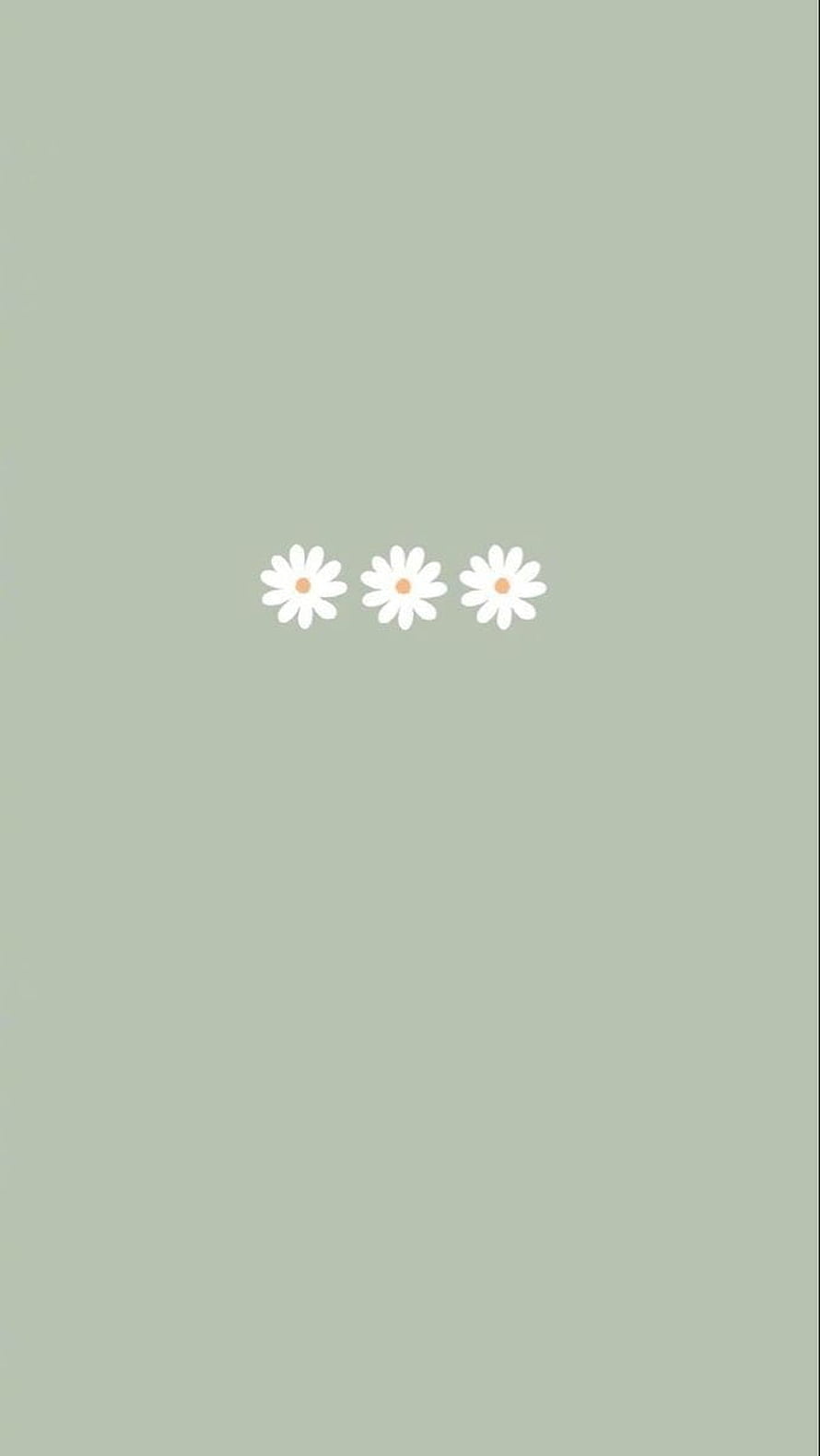 Minimalist Sage Green Wallpaper With Three White Daisies HD phone wallpaper