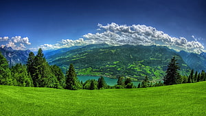 Vibrant Alpine Meadow with Turquoise Lake and Forested Mountain Range HD wallpaper