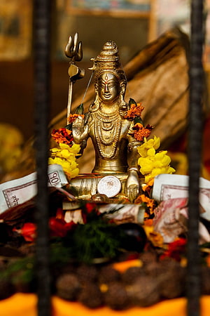 Golden Shiva Statue Adorned With Marigold Garlands And Currency Offerings HD phone wallpaper