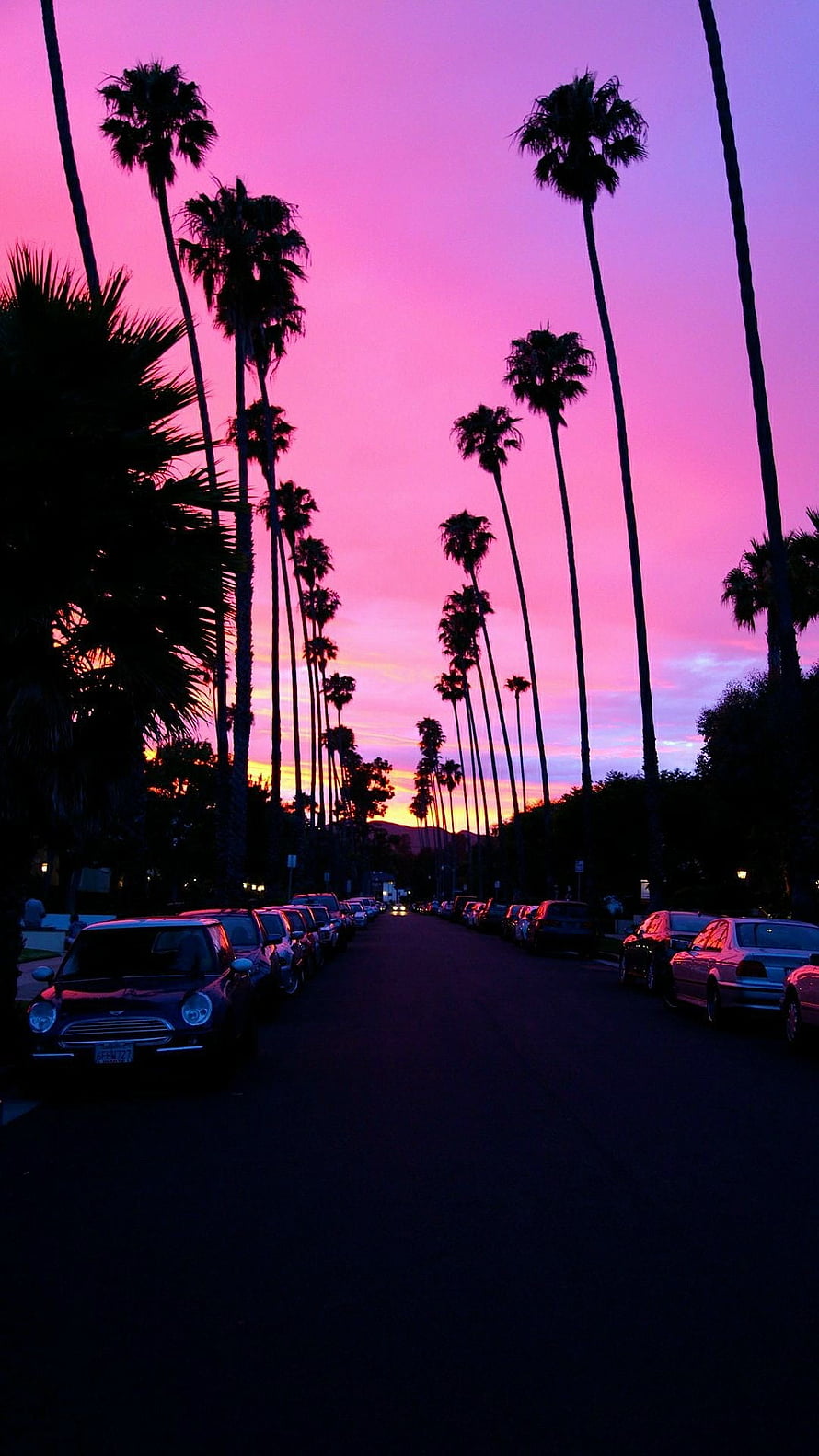 Vibrant Pink Sunset Over Palm Tree Lined Street With Parked Cars HD phone wallpaper