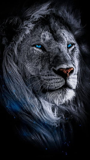 Majestic Lion Portrait With Glowing Blue Eyes And Dark Fur HD phone wallpaper