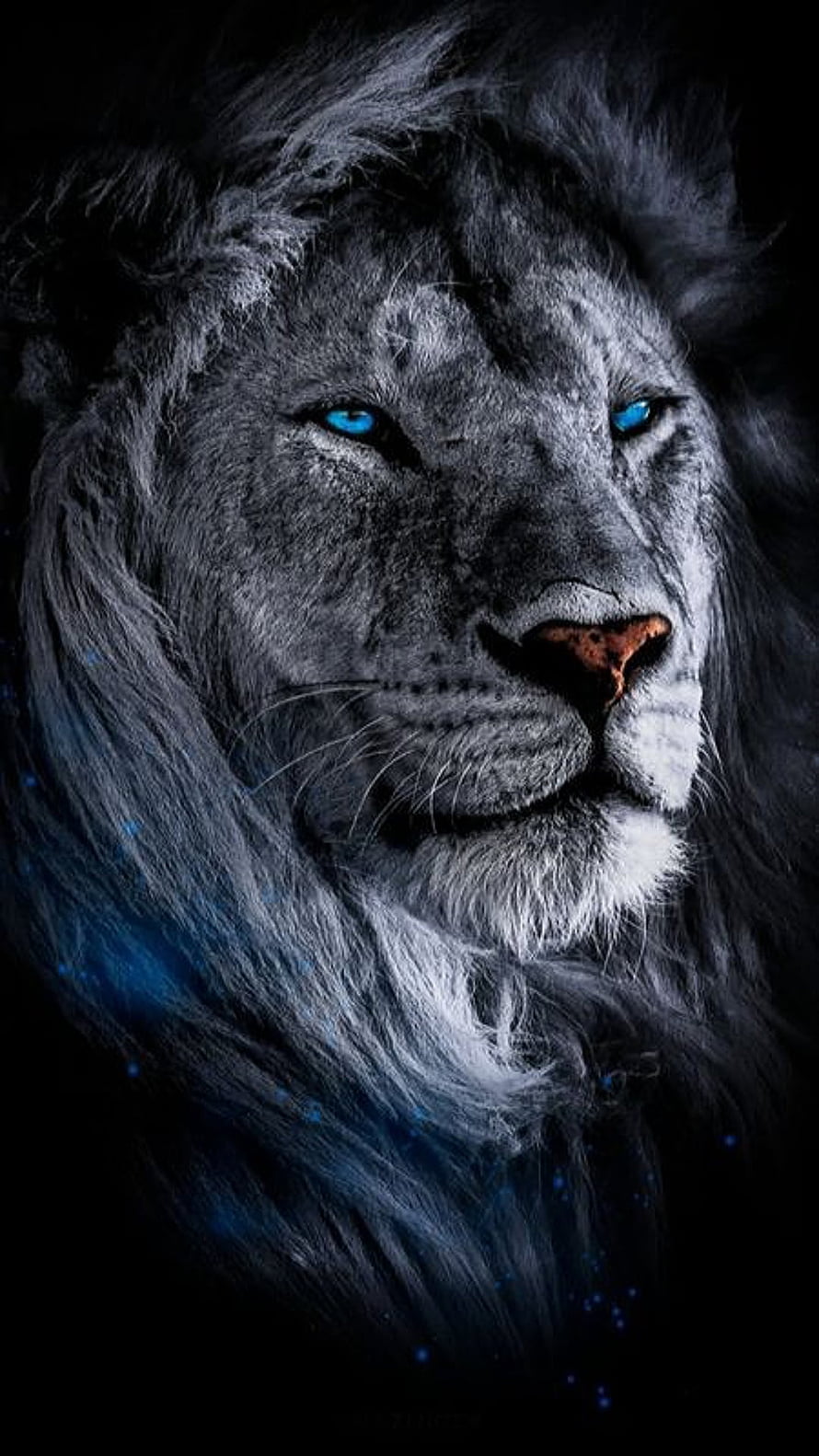 Majestic Lion Portrait With Glowing Blue Eyes And Dark Fur HD phone wallpaper