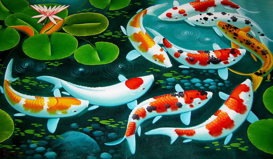 Colorful Koi Fish Swimming in a Lush Pond with Water Lilies and Ripples HD wallpaper