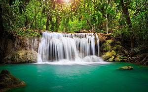 Tropical Rainforest Waterfall Pouring Into Turquoise Pool With Lush Green Canopy HD wallpaper