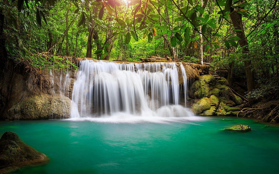 Tropical Rainforest Waterfall Pouring Into Turquoise Pool With Lush Green Canopy HD wallpaper