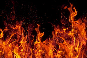 Intense Orange Flames and Glowing Embers Rising Against a Pitch Black Background HD wallpaper