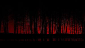 Dark Forest Silhouette Against Fiery Red Sunset Sky HD wallpaper