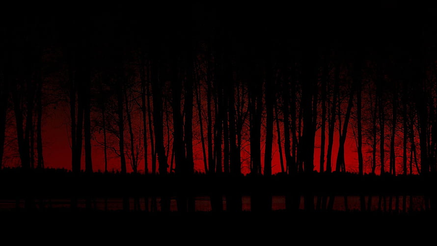 Dark Forest Silhouette Against Fiery Red Sunset Sky HD wallpaper